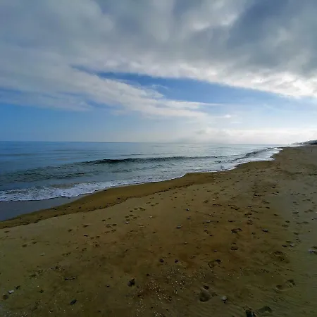 Dom wakacyjny Seaview